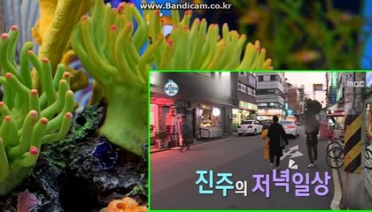 토토솔루션제작/임대 토토솔루션과바카라게임접목 카톡: haricuty스카이프:cuty hary