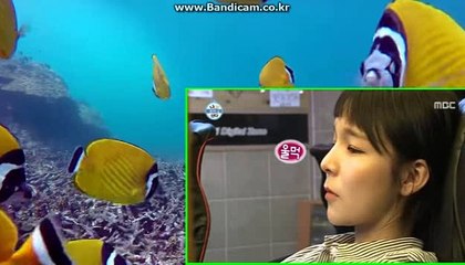 토토분양, 토토제작판매, 바카라게임접목 카톡:haricuty 스카이프:cuty hary