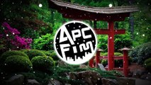 Steve Aoki & Boehm (ft. Walk the Moon) - Back 2 [ApcFim]