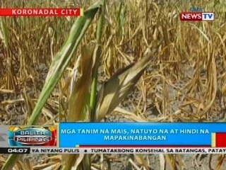 State of calamity, idineklara sa M'Lang dahil sa dami ng tanimang napinsala ng init