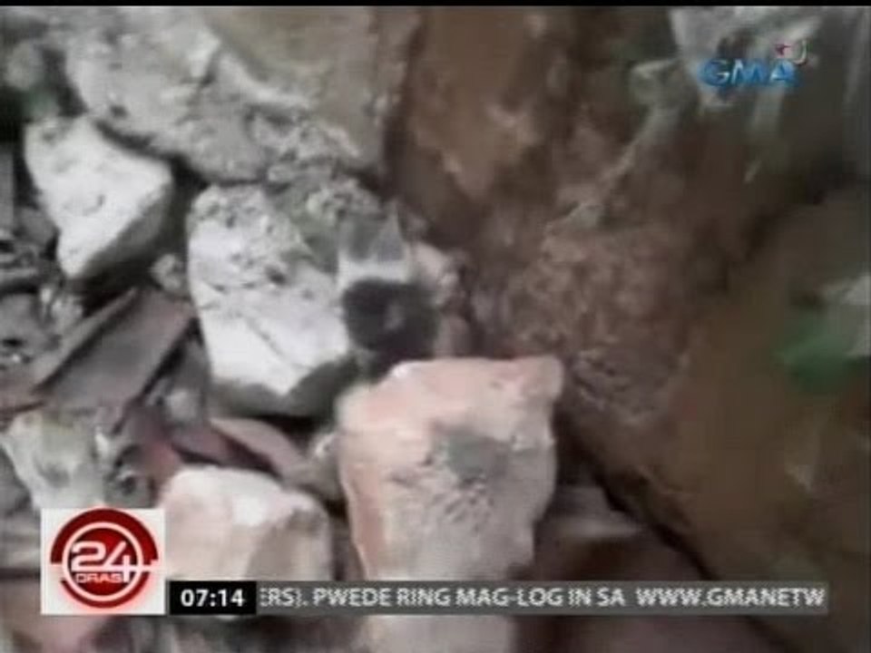 24 Oras: Kuting, pinagbabato at inihian pa ng isang estudyante