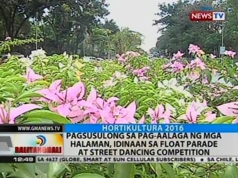 BT: Pagsusulong sa pag-aalaga ng mga halaman, idinaan sa float parade at street dancing competition