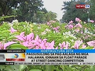 BT: Pagsusulong sa pag-aalaga ng mga halaman, idinaan sa float parade at street dancing competition