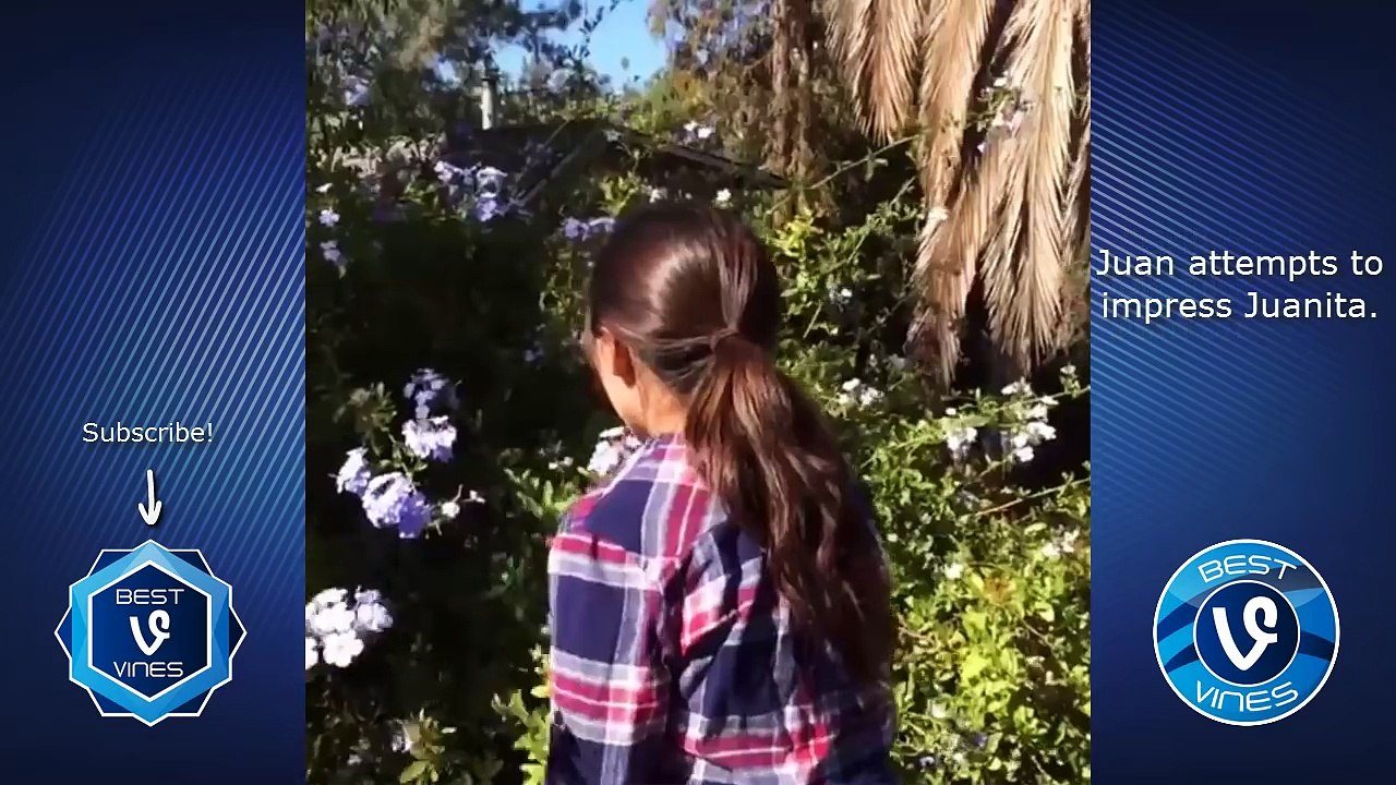 Ultimate Juan Vine Compilation - All David Lopez Juan Vines 2016   BEST VINES