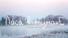 Мария Филиппова - 3D-анимация