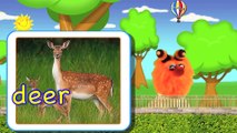 Letter D - Learning Words which begin with the Letter D - For Toddlers and Prescholl Children