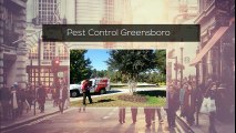 Exterminator Greensboro