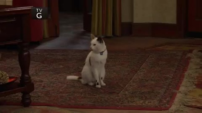 Dog with a Blog - S 3 E 21 - Stan Rescues His Princess