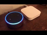 Amazon Echo Curses Out Loud After Misunderstanding
