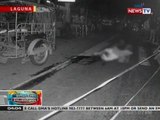 BP: Lalaking tumatakbo sa pagka-konsehal at kanyang driver, patay sa pamamaril sa Calauan, Laguna