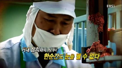 극한직업 - Extreme JOB_참치 해체사_#001