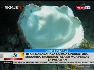 Mga bago umanong higanteng perlas, nadiskubre sa karagatan ng Pilipinas