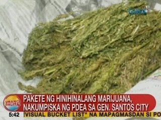 UB: Pakete ng hinihinalang marijuana, nakumpiska ng PDEA sa GenSan