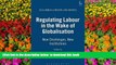 READ book  Regulating Labour in the Wake of Globalisation: New Challenges, New Institutions