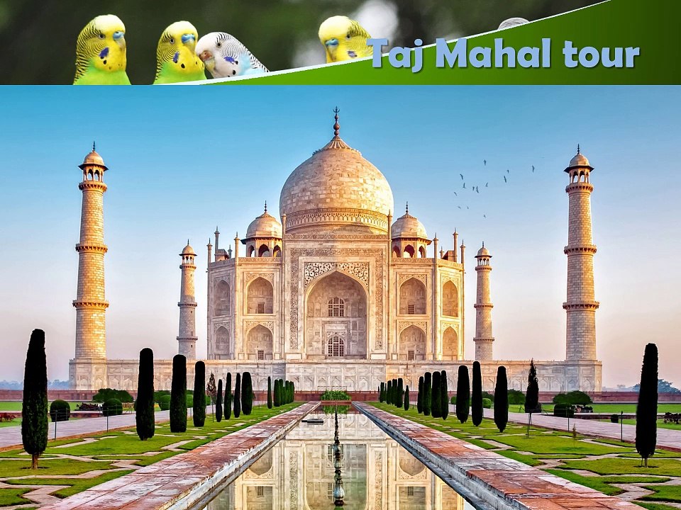 Taj Mahal tour and Wildlife tour in India by GreenchiliHolidays