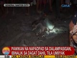 UB: Pawikan na napadpad sa dalampasigan sa GenSan, ibinalik sa dagat dahil tila umiiyak