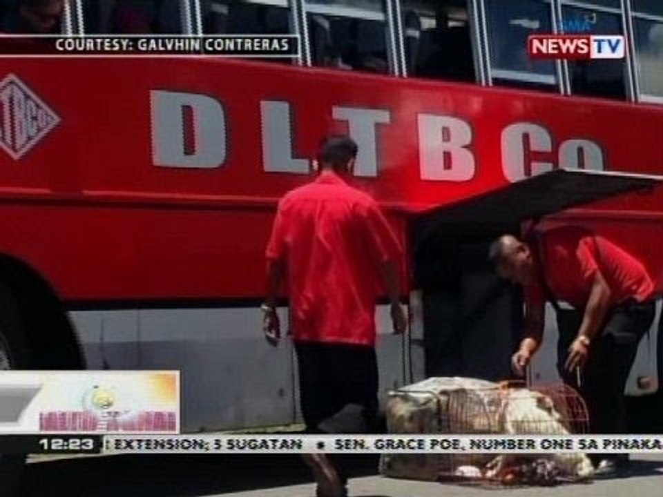 BT: Mga alagang hayop, kailangang bigyan din ng komportableng environment kung bibiyahe