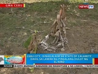Cebu City, isinailalmi sa state of calamity, dahil sa lawak ng pinasalang dulot ng El Niño