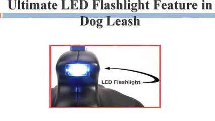 Ultimate LED Flashlight Feature in Dog Leash
