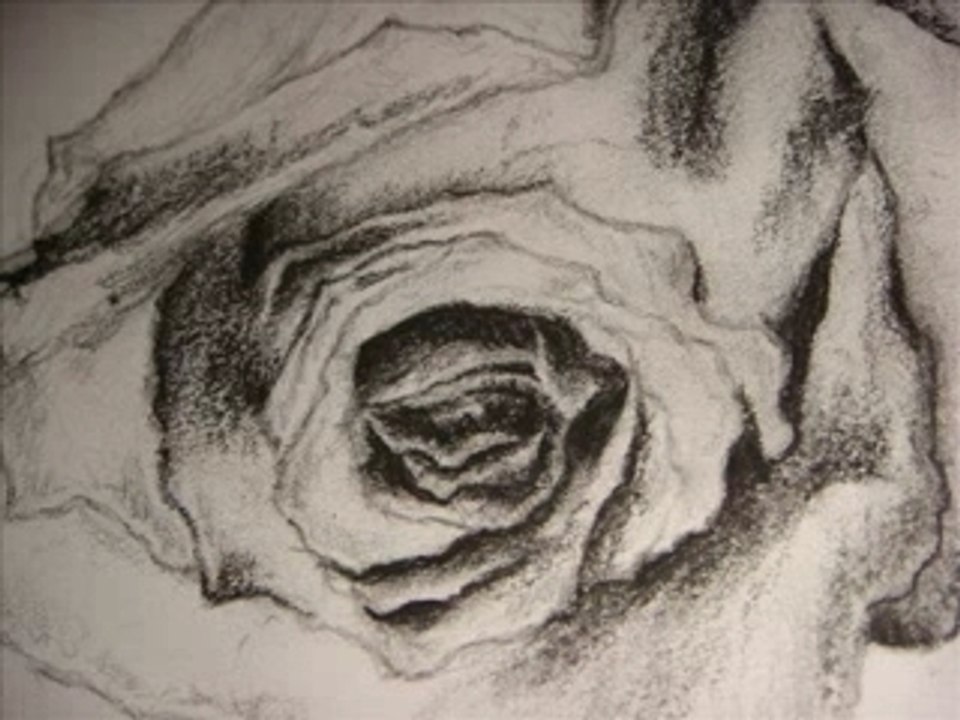 Bong hong cai ao - Duy khanh