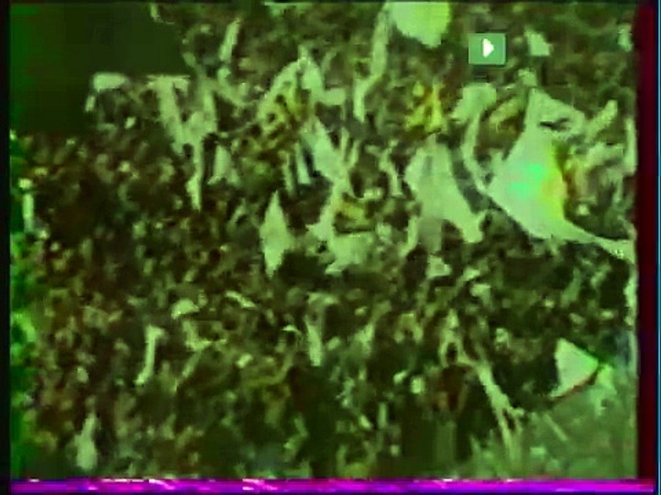 09.04.1980 - 1979-1980 UEFA Cup Winners' Cup Semi Final 1st Leg Arsenal 1-1 Juventus