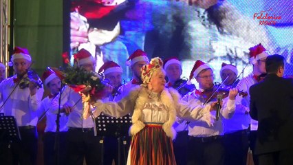 Sava Negrean Brudascu -Orchestra Rapsodia Bihoreana dir. profesor Liviu Butiu-Ziurel de ziua