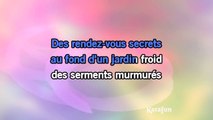 Maxime Le Forestier - Fontenay aux roses KARAOKE / INSTRUMENTAL