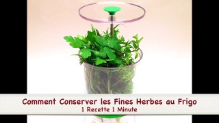 Comment Conserver les Fines Herbes au Frigo (HD)-JPJpBpckqiU