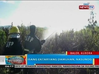 BP: Isang ektaryang damuhan, nasunog