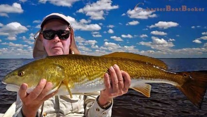 Miami Fishing Charters