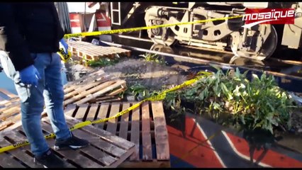 حادث اصطدام حافلة بقطار بجبل الجلود