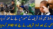 Asad Kharal Sharing A Weird Story Of Nawaz Shareef's Home In Raiwind..