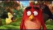 THE ANGRY BIRDS MOVIE Clip  Mighty Eagle Noises  (2016) Animated Movie [4K Ultra HD]