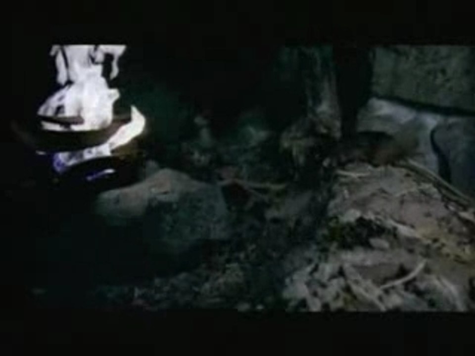 pub americaine de zelda wind waker