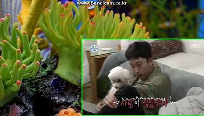 #사설토토솔루션제작 #토토솔루션 #사설토토솔루션제작 #토토사이트임대제작 #스포츠토토사이트제작