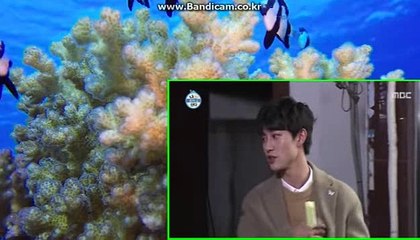 #토토솔루션 판매 #토토프로그램 #토토솔루션 및 #토토프로그램 #바카라게임판매 카톡:haricuty스카이프:cuty hary