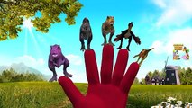 Dinosaurs Fighting Videos Epic Battle | Dinosaurs Finger Family | Dinosaur Vs King Kong Fight