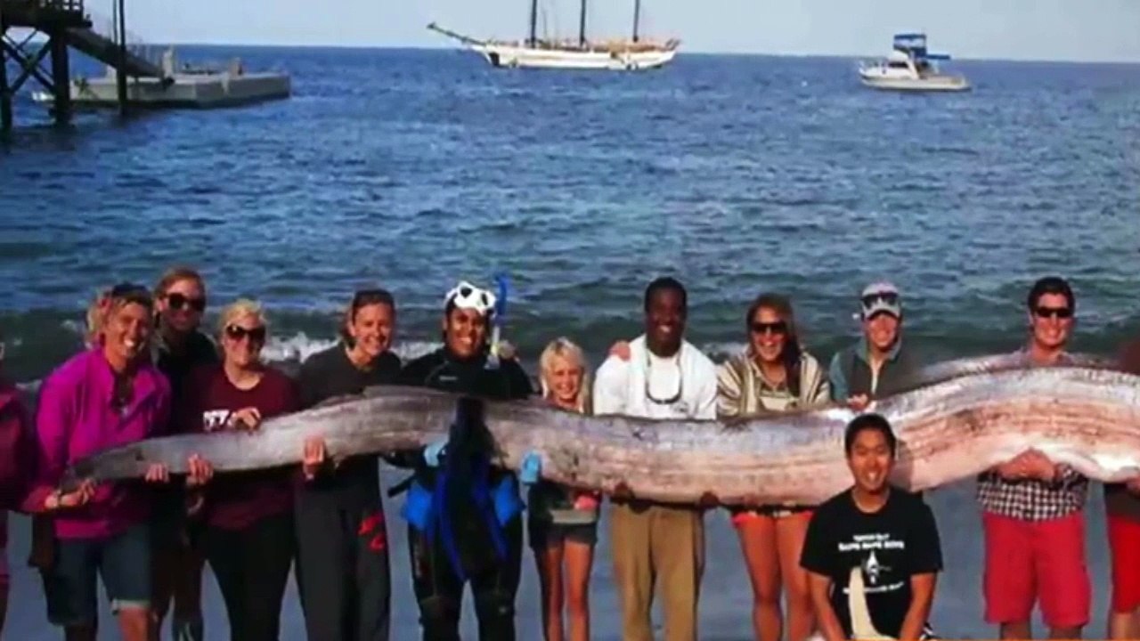 Strange creature captured GIANT SNAKE FISH