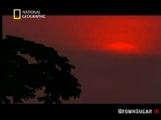 National Geographic Le Virus Ebola (3)