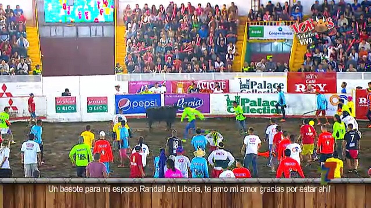 Toros 27 Diciembre