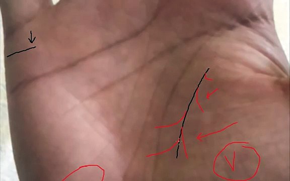 marriage lines-child lines-squares palmistry