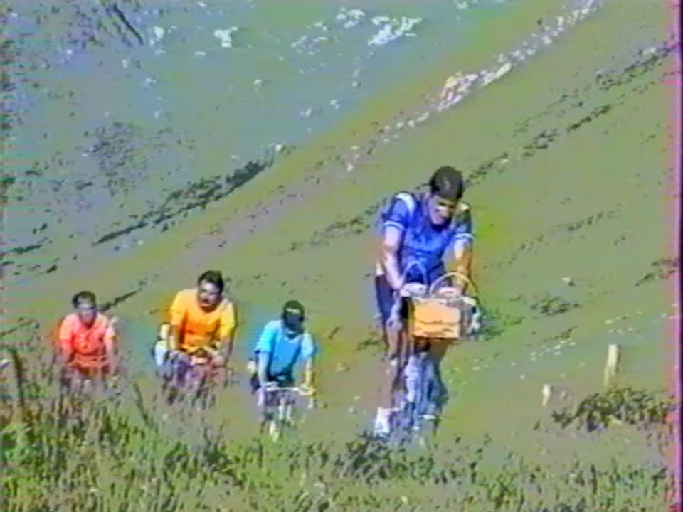 BRA-1991