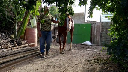 Tres generaciones en Cuba bajo el gobierno de Castro