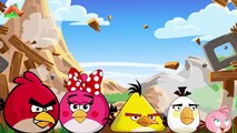 Angry Birds Finger Family   NURSERY RHYMES   Very Funny Cartoons