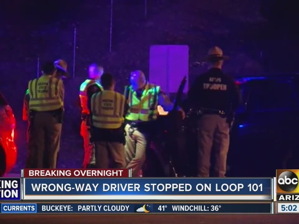 DPS: Wrong-way driver stopped after 9 miles on L-101