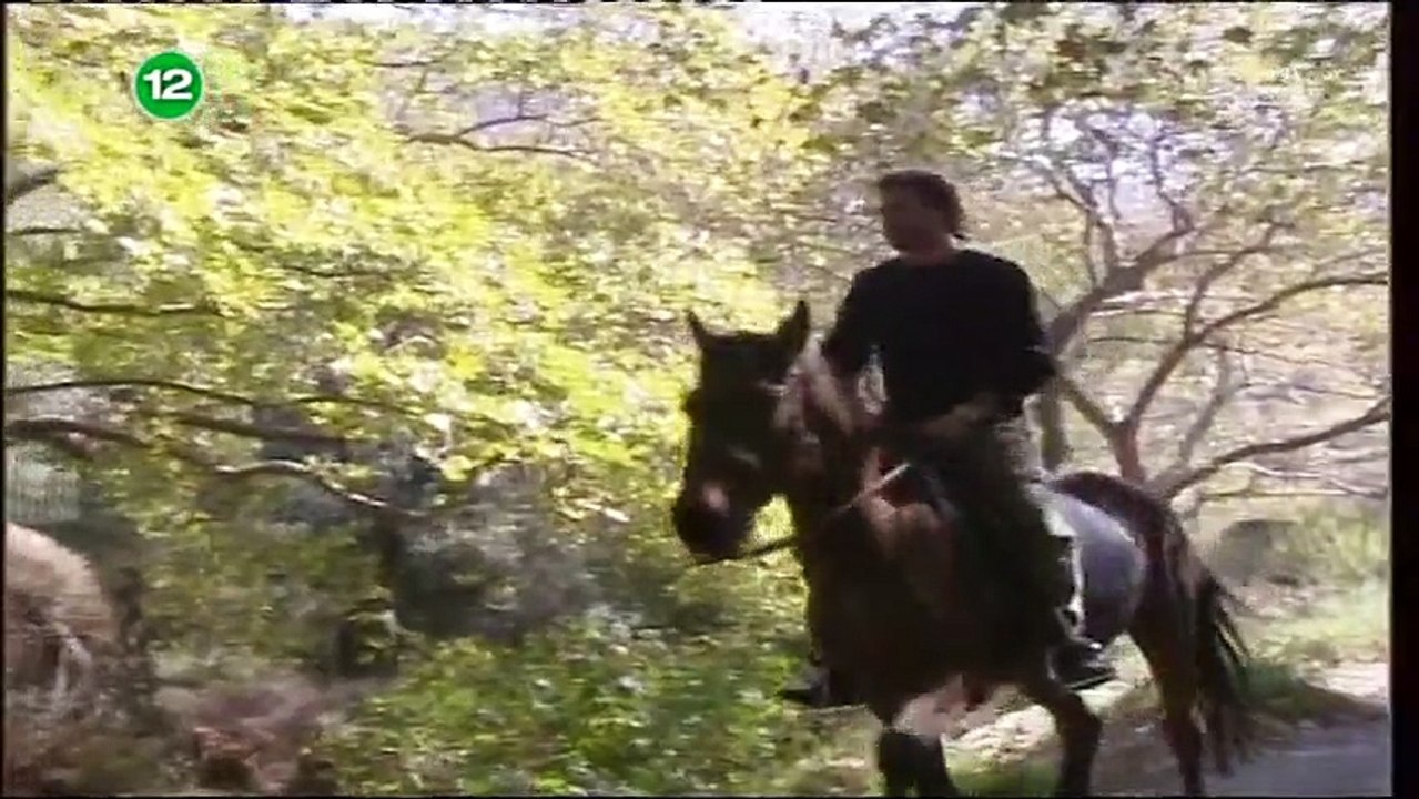 Ranjeno srce 005