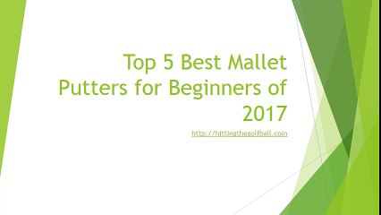 Best Mallet Putters