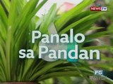 Good News: Panalo sa Pandan!
