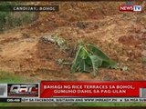 QRT: Bahagi ng rice terraces sa Bohol, gumuho dahil sa pag-ulan