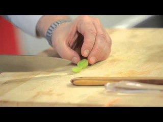 كاساديا الدجاج بالمشروم - سلطة جبنة حلوم وعنب | طبخة ونص حلقة كاملة